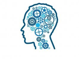 Простой интуитивный тест подскажет нам, как вы принимаете решения