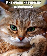 Жена самарского олигарха потратила полтора миллиона, готовя сына к школе