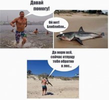 Про лес напомнило.