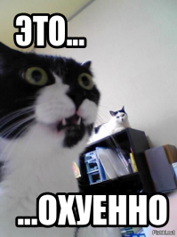 Подарки от котэ