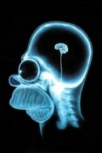 Жительница США перепутала динамитную шашку со свечой и лишилась нескольких пальцев