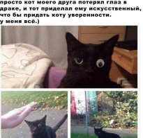 Купи друга