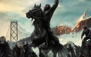 А вот так будет выглядеть наша цивилизация. Ну или котики, собачки - неважно. Мы себя стопудово угробим.