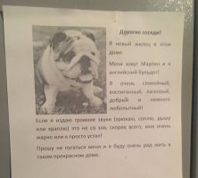 Пропал лучший друг