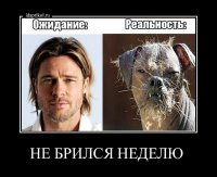 Вот почему некоторым мужчинам лучше никогда не сбривать бороду
