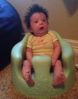 Пес набросился на воздуходувку и стал похож на пришельца из фильма "Хищник"