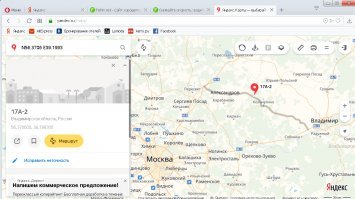 Снижайте скорость: водитель сбил лося на загородной трассе