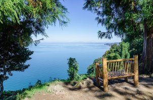 Ботанический сад в Батуми, Грузия. очень красивое место