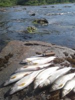 А у нас на Урале вот так..