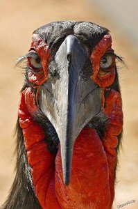 уровень безразличия к происходящему просто зашкаливает