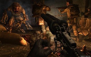 Что там черви? Там вот такие тоннели за мрамором и там бродят вот такие!