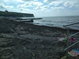 вчера фоткал,  сегодня приехал трактор, рабочие всё собрали и погрузили в самосвал.