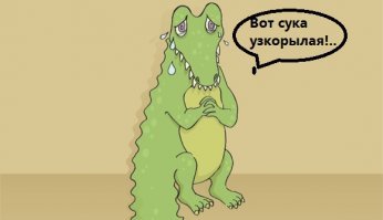 В китайском заповеднике турист несколько раз ударил аллигатора ногой