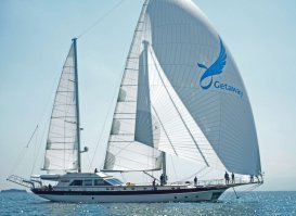 Не понимаю я эстетики этих яхт - какие-то патрульные катера.
Вот - яхты: