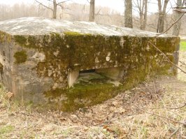 Имхо, слишком открыто для ДОТа. Обычно ДОТы такие: