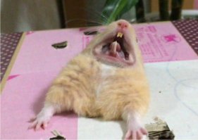 Картинки с надписями для настроения