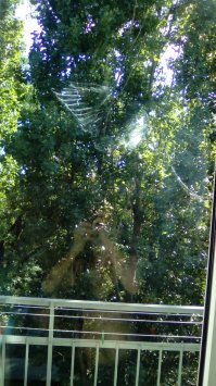 Жизнь! Только держись!