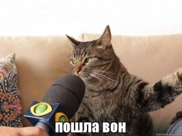 Кабачковый торт. Вкусный рецепт из кабачков