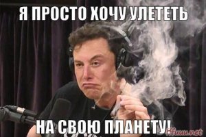 Илона Маска позвали сняться в порнофильме, но не участвовать в сексе, за $150 тыс