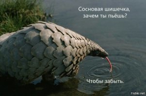 "Четкая челка - 2018": главные претенденты на корону