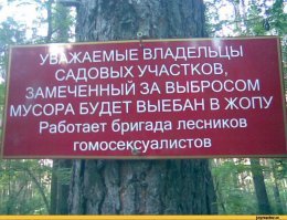 Береги природу, мать твою! Таксист высадил пассажира, бросившего мусор в окно