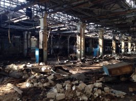 Большая часть владимирского Тракторного  завода.

.. а её там была установка которая из воздуха и электричества  делала  газы. Кислород для больниц, для суварщиков  кислород, аргон и прочее...
 Тоже раскурочили хотя  он был  некисло прибыльнм. Сначало  новый собственник  лепестричество отрубил с дуру. Система разгерметезировалась и когда  сказали стоимоть ремонта  сравнимую с  тогдашней стоимостью всего  завода ( официальной ессно а  не реальной ) всё попилили  на метал.  Благо там  одного  драгмета было  навалом.