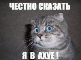 Выкованные из велосипедных цепей: скульптуры Сео Янг-Деока