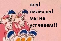Гифки дня