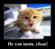 Демотиваторы