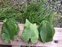 Для тех, кто хочет выгодно и безопасно обменять валюту, крипту или WM