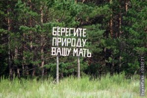 Береги природу, мать твою! Таксист высадил пассажира, бросившего мусор в окно