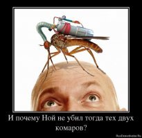 Зачем комару кровь