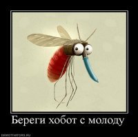 Зачем комару кровь