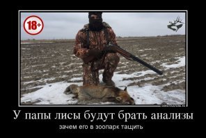 про папу лису не слова . почему его к лисицам не подселили ?