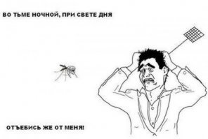Зачем комару кровь