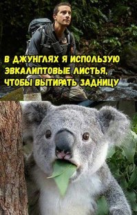Лайфхаки по фитнесу от Беара Гриллса