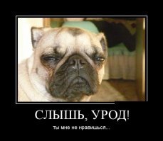 Субботние демотиваторы