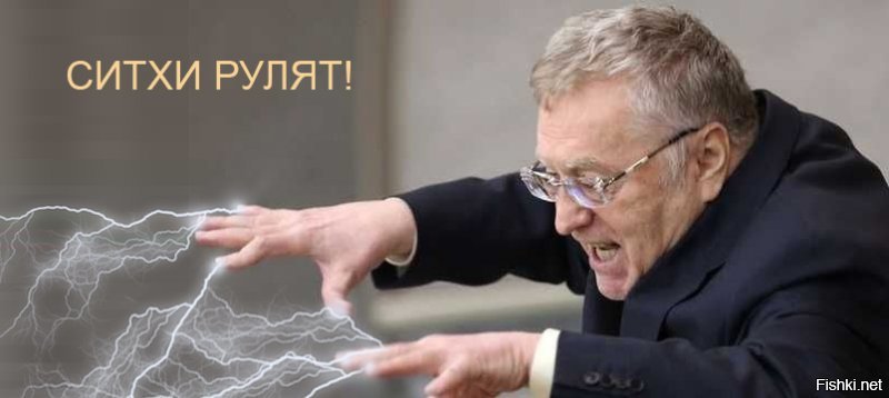 Финалисты конкурса Comedy Wildlife Photography Awards 2018