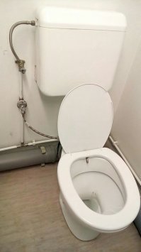 Унитаз со встроенным биде, модель "сюрприз".