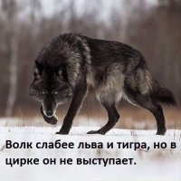 В Архангельске поставлено под сомнение наличие образования у спикера местной Думы
