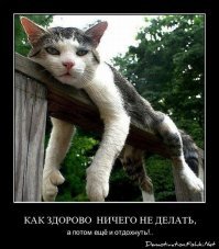 НАСА предлагает вакансию желающим спать на работе за деньги