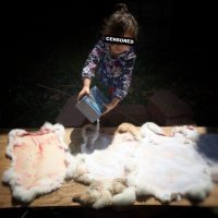 А тут что не так-то?
После снятия шкуры надо засолить, что-бы до выделки не испортились.