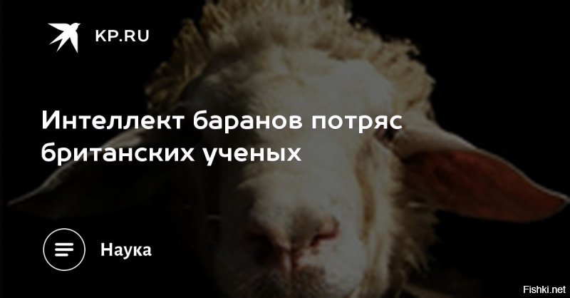 Что написано в паспортах звезд