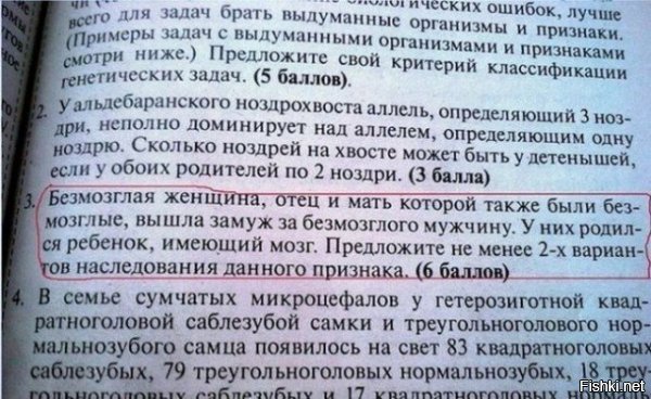 Могу сходу предложить три варианта - с мозгом был отец безмозглого мужа, его мать или сосед.