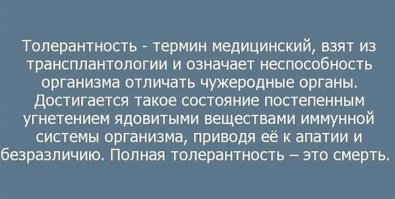 Что тут вообще происходит? Спокойно, это толерантность