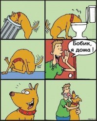 Хаски охраняет сон ребенка