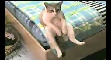 18 примеров патологического невезения, от которых офигели даже черные коты и рожденные в понедельник