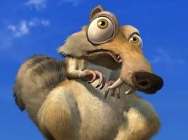 В Польше ученые нашли мумию мужчины с беличьим гнездом внутри