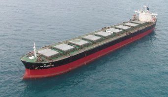 1. На реально крупных балкерах кранов нет. Это суда, перевозящие навалочные грузы, которые загружаются с берега конвейерами, трубами или захватами. Балкера с собственной системой кранов - довольно небольшие суда. См картинку
2. Даже если придумать КАК из воды краном малого балкера поднять свободно плавающий разнородный мусор, то чтобы загрузить одно судно, да еще в дрейфе, понадобится несколько месяцев. Не говоря уже о том, что стоить такая погрузка будет немеряно.
3. Про сетку ты ничего не писал, ты писал про "десятки тысяч мелких куч, которые будут неуправляемо плавать по океану и создавать проблемы судоходству". Какие проблемы? Через пластик на резиновой лодке можно проехать и ничего ей не будет. Танкер его просто не заметит.

Километровая сетка может собрать несколько тысяч тонн мусора одним захватом. Парень реально создал нужную вещь. а ты иди дальше рассказывай про вкус устриц тем, кто их ел.