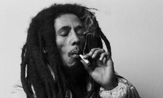 Польские зоозащитники спасли жутко заросшего пса от гибели